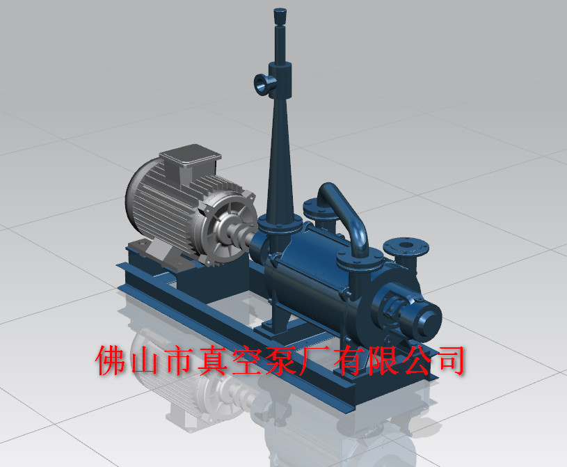 2SK 水環(huán)真空泵